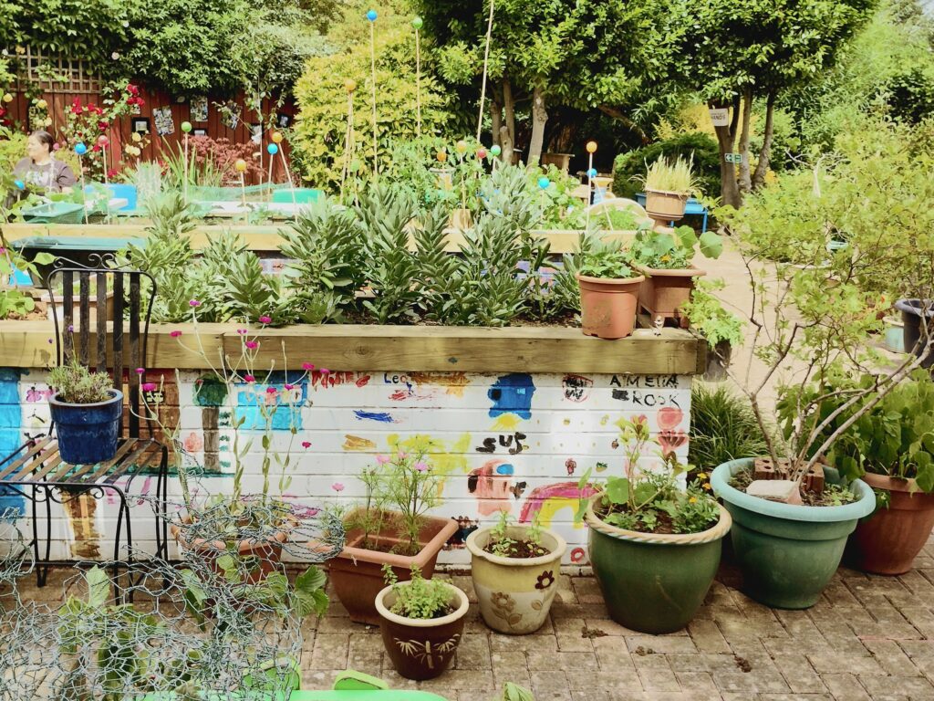 Image of plants and trees at garden.