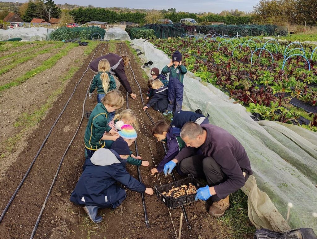Children and helpers planting seeds at local farm